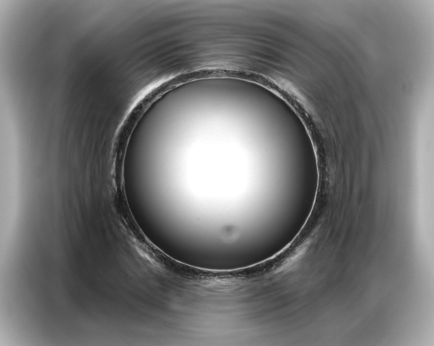 X0000086980830200704301316