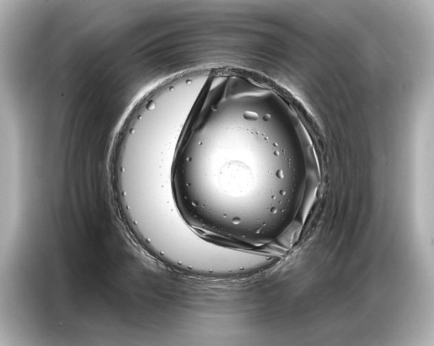 X0000086980832200704301316