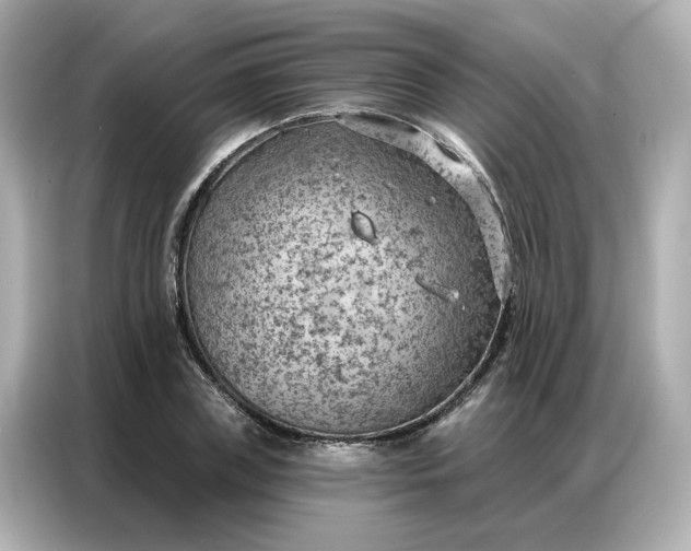 X0000086980835200704301316