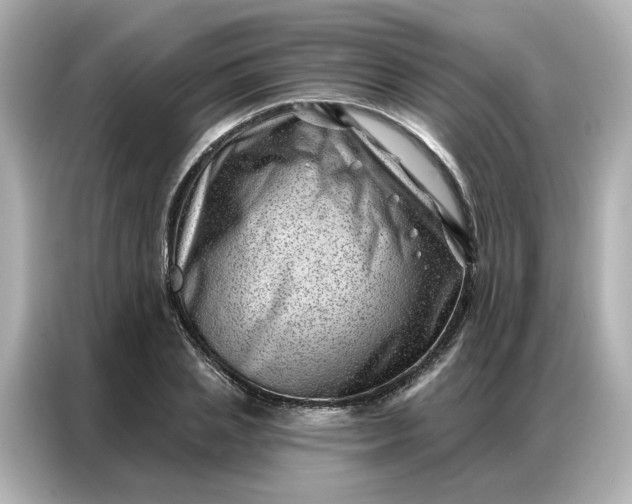 X0000086980837200704301316