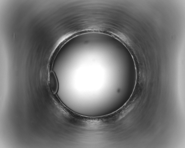 X0000086980838200704301316