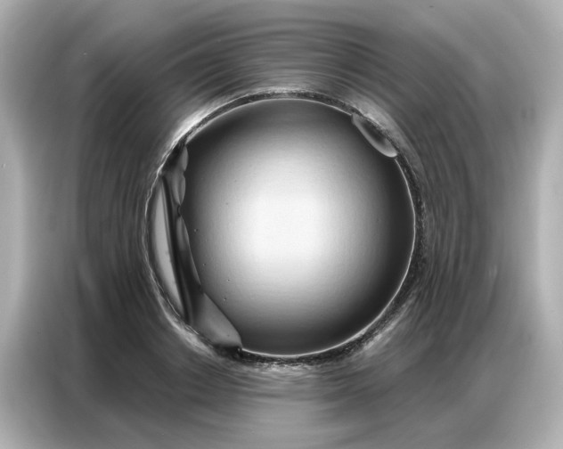 X0000086980842200704301316