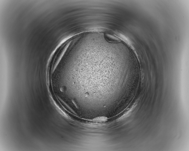 X0000086980843200704301316