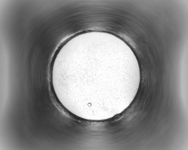 X0000086980848200704301316