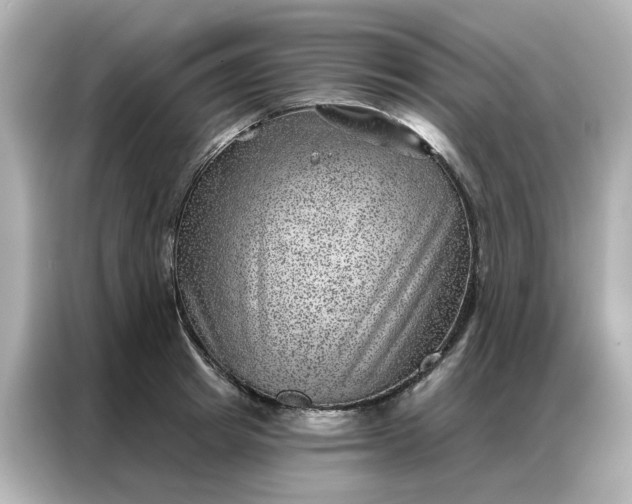 X0000086980849200704301316