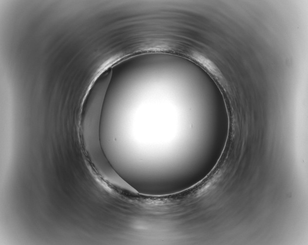 X0000086980850200704301316