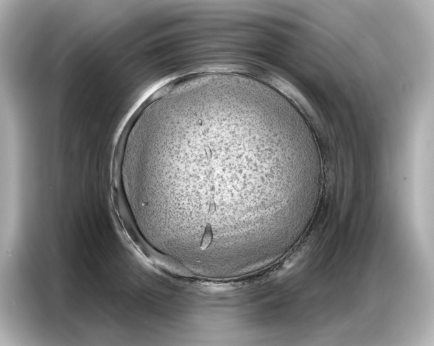 X0000086980852200704301316