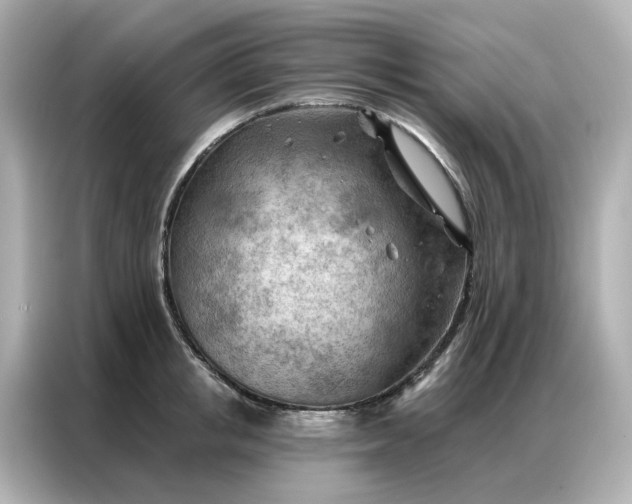 X0000086980853200704301316