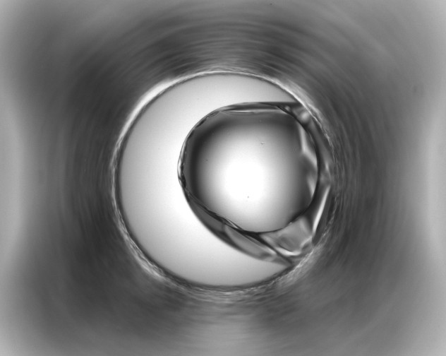 X0000086980854200704301316