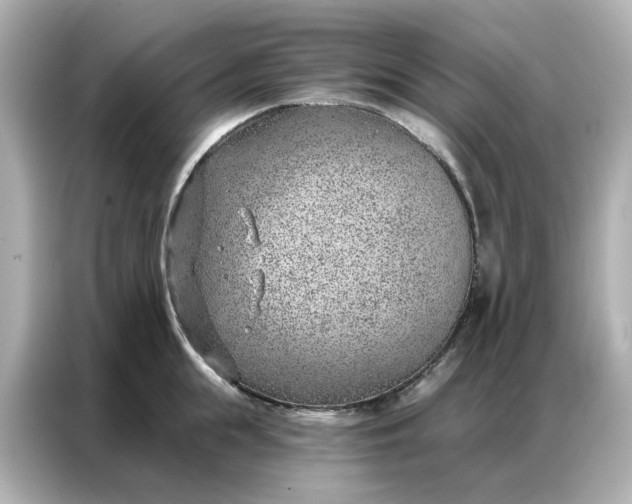 X0000086980855200704301316