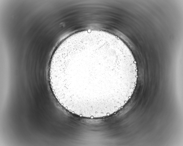 X0000086980856200704301316