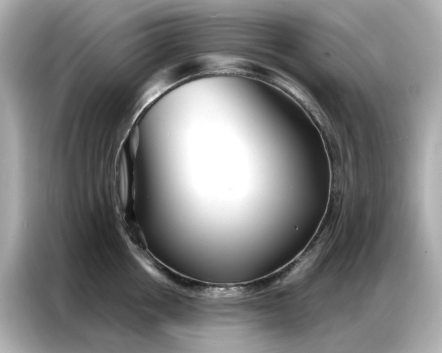 X0000086980858200704301316