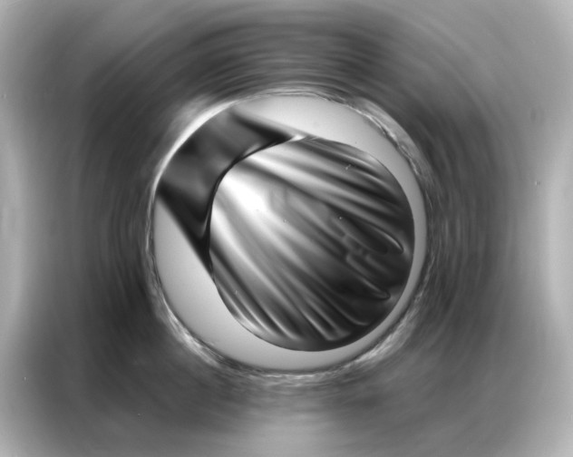 X0000086980860200704301316