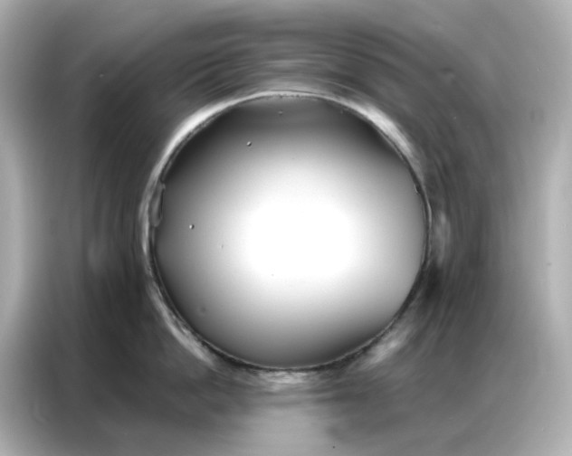 X0000086980862200704301316