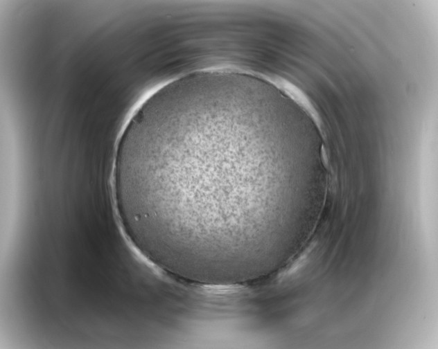 X0000086980863200704301316