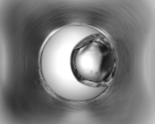 X0000086980864200704301316