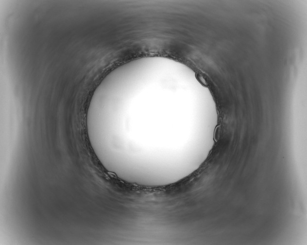 X0000086980865200704301316