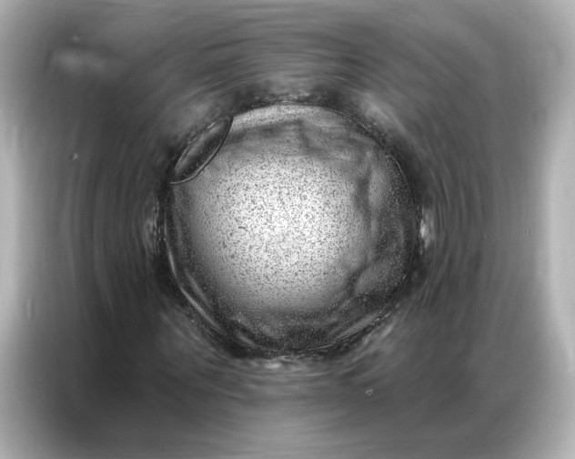 X0000086980867200704301315