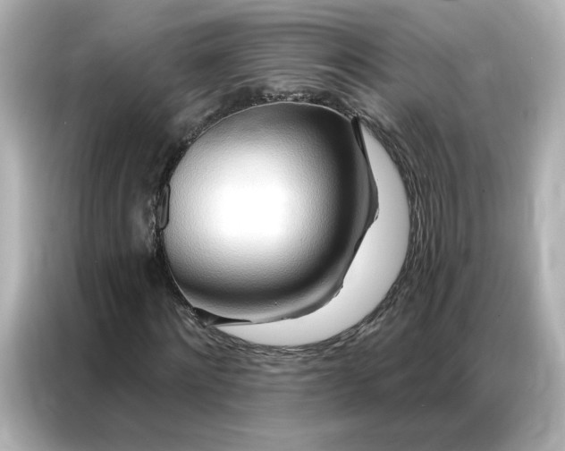 X0000086980868200704301315