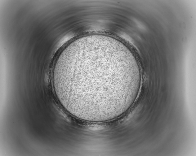 X0000086980874200704301315