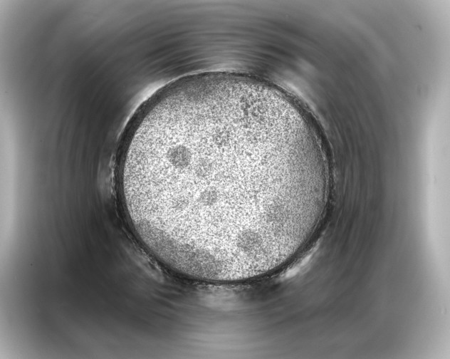 X0000086980875200704301315