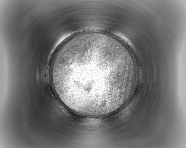 X0000086980878200704301315