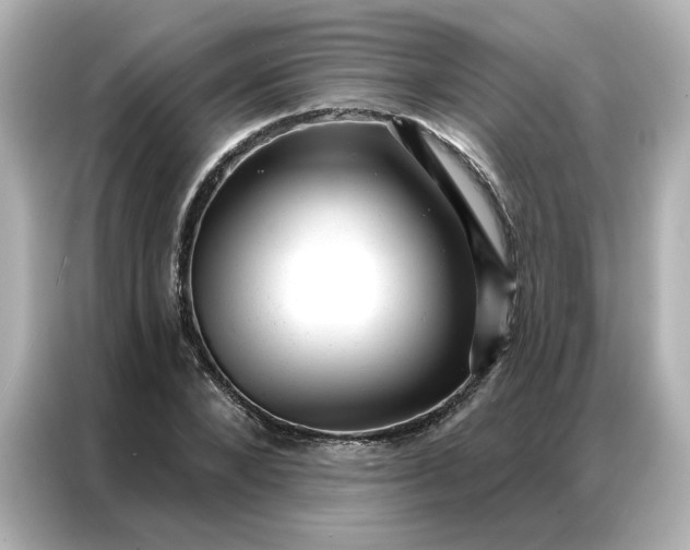 X0000086980880200704301315