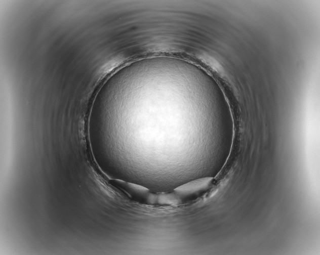 X0000086980881200704301315