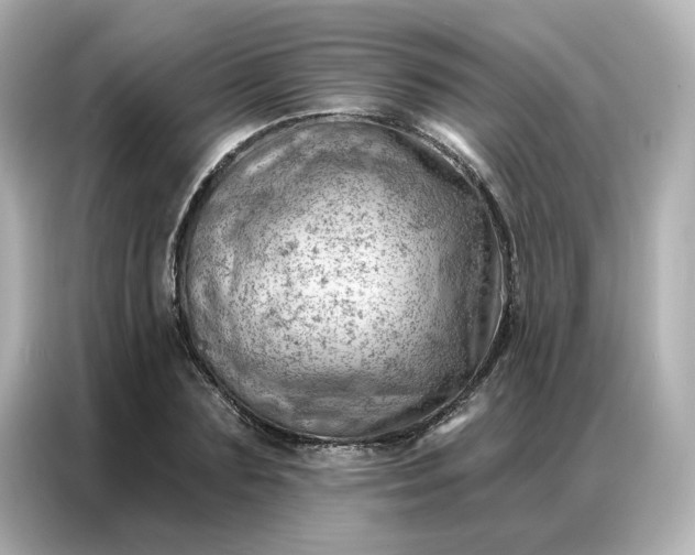 X0000086980883200704301315