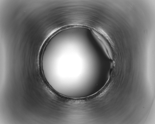 X0000086980884200704301315