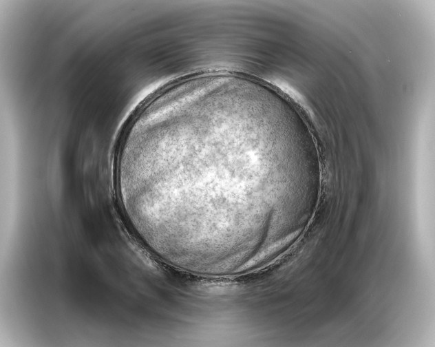 X0000086980886200704301315