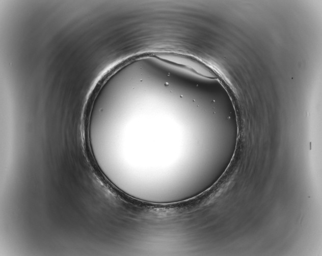 X0000086980888200704301315