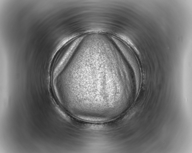 X0000086980890200704301315