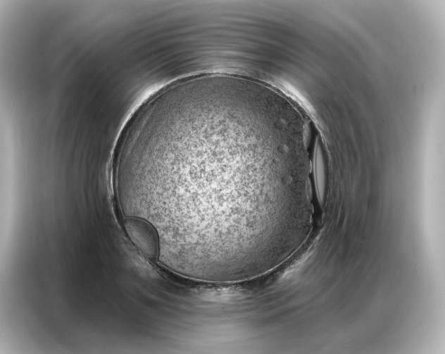 X0000086980891200704301315