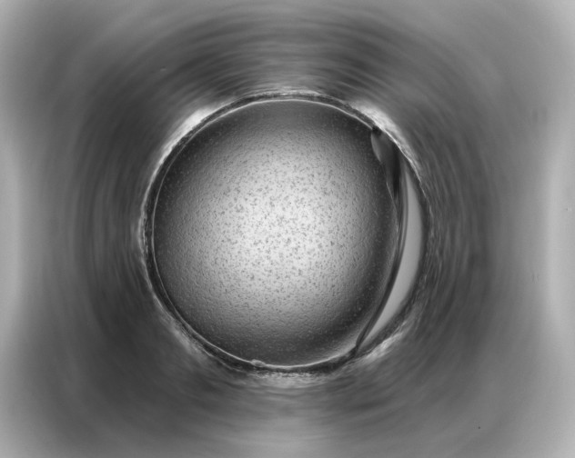 X0000086980893200704301315