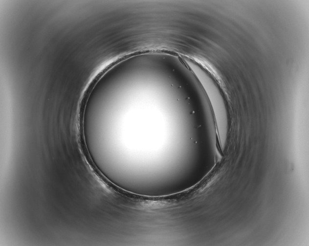 X0000086980894200704301315