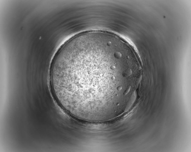 X0000086980895200704301315