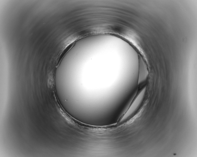 X0000086980897200704301315