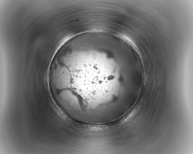 X0000086980899200704301315