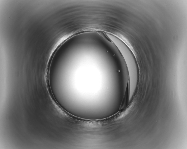 X0000086980901200704301315