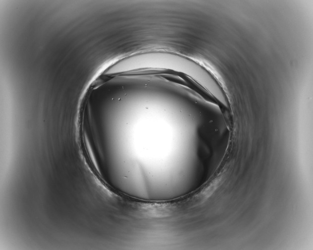 X0000086980902200704301315