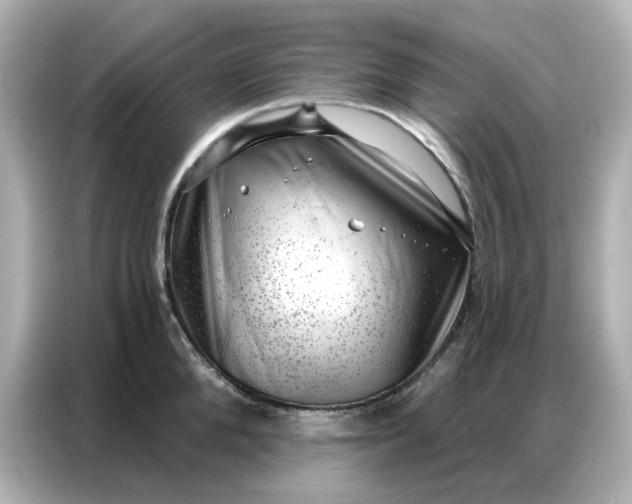 X0000086980904200704301315