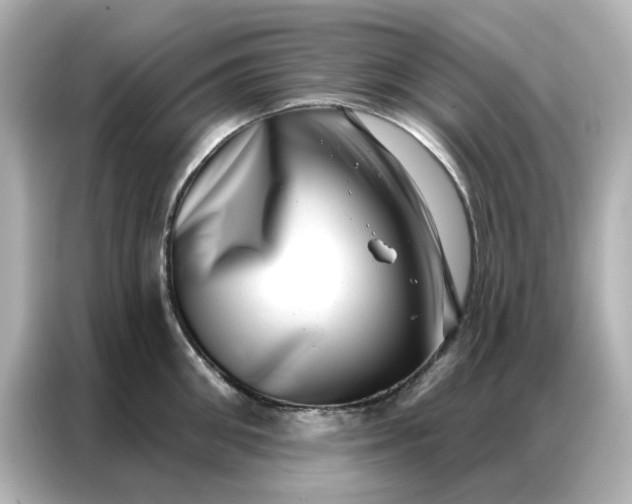 X0000086980906200704301315