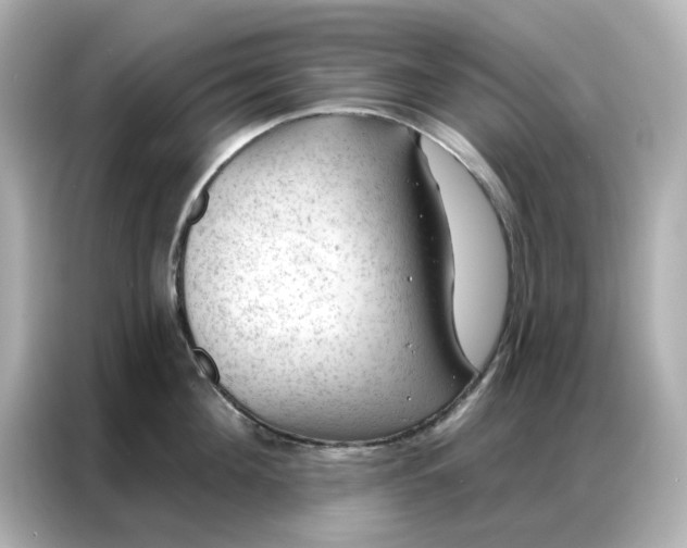 X0000086980908200704301315