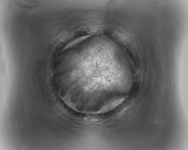 X0000086980913200704301314