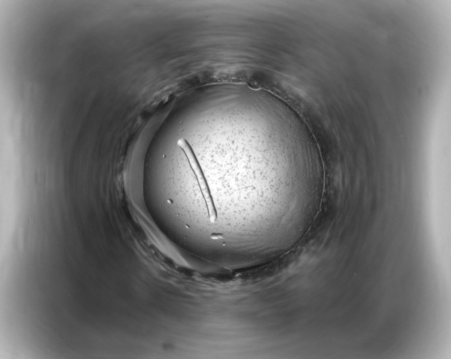 X0000086980914200704301314