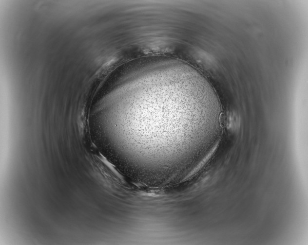 X0000086980915200704301314