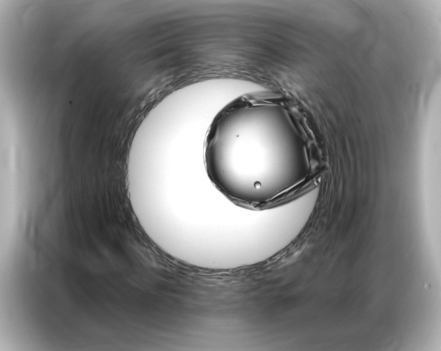 X0000086980916200704301314