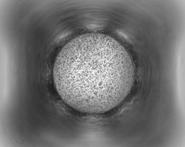 X0000086980917200704301314