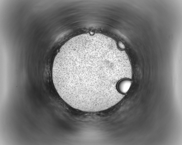 X0000086980918200704301314